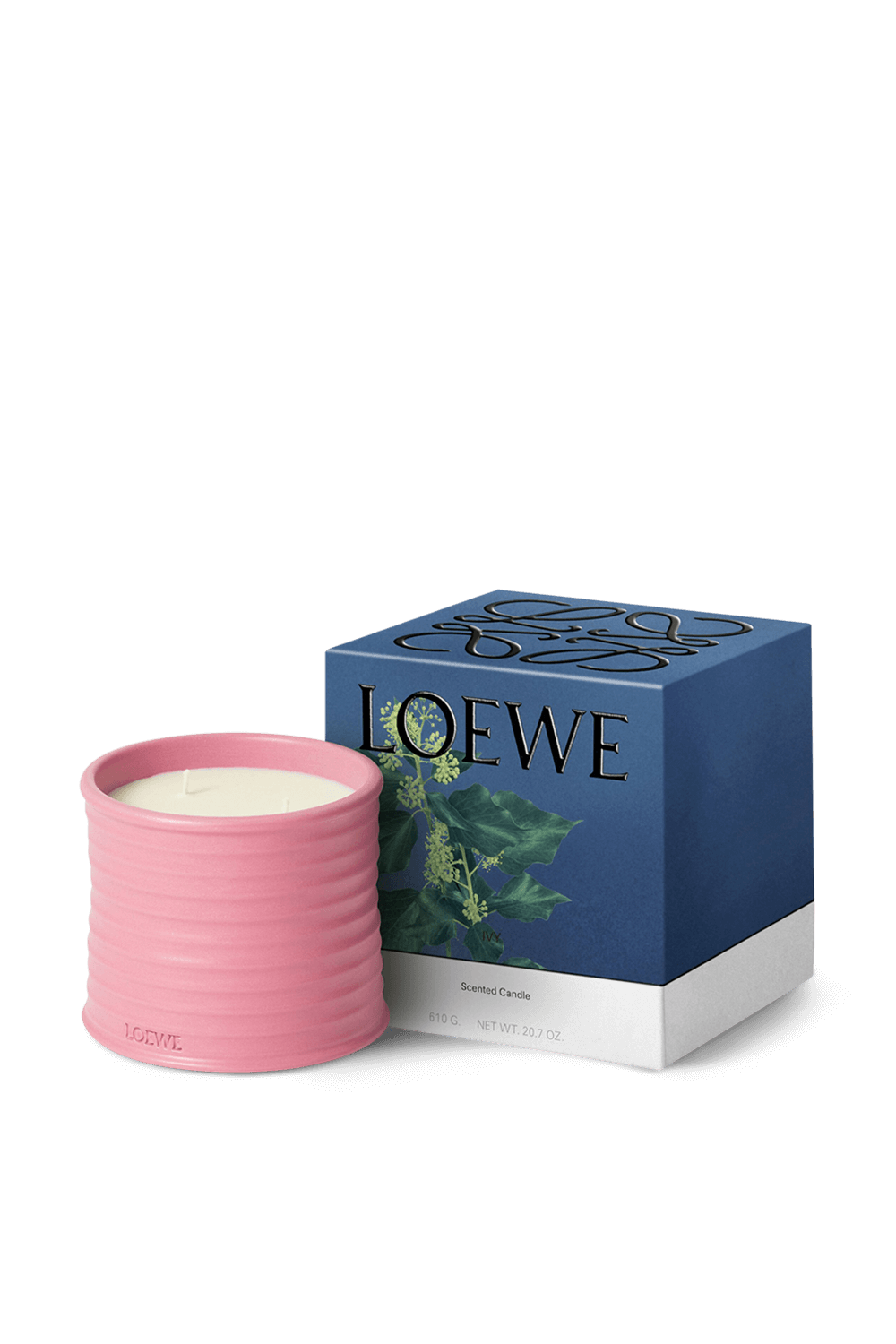 תמונה אחורית של LOEWE Ivy Medium Scented Candle