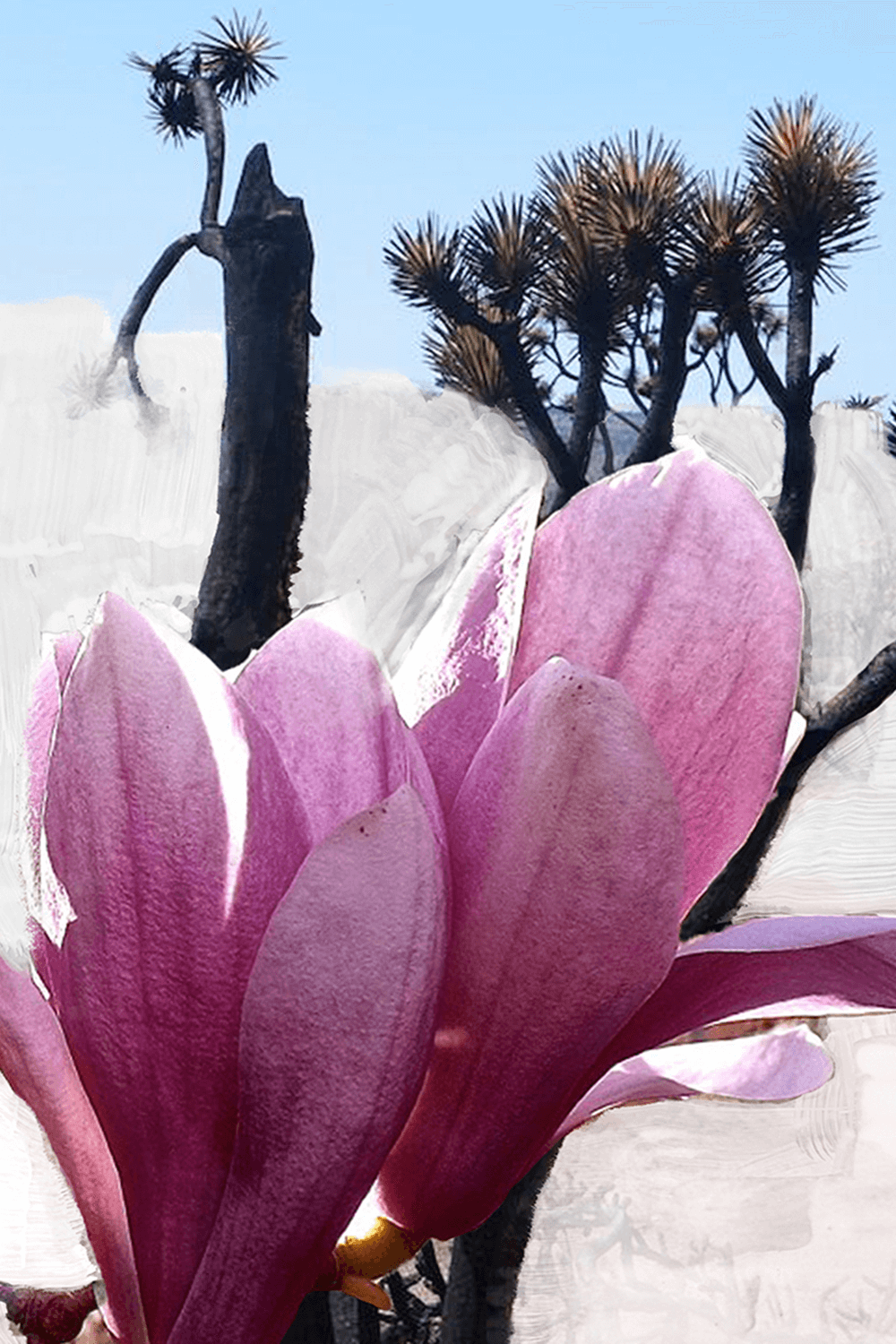 Hair Perfume Mojave Ghost 75 ML