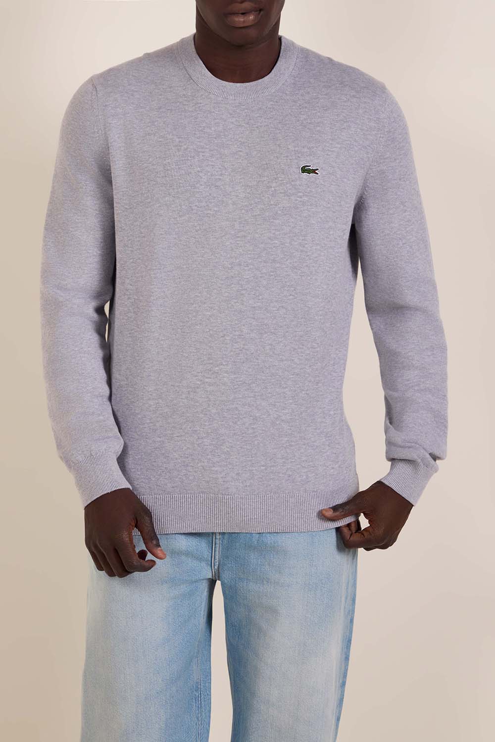 תמונת דוגמן קידמית של סווטשירט