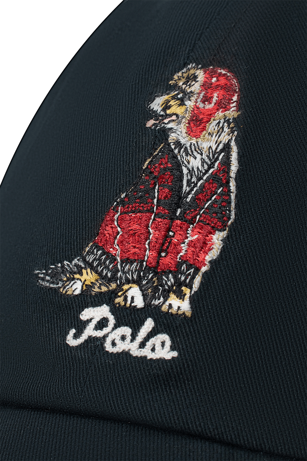 תמונת תקריב של כובע מצחייה