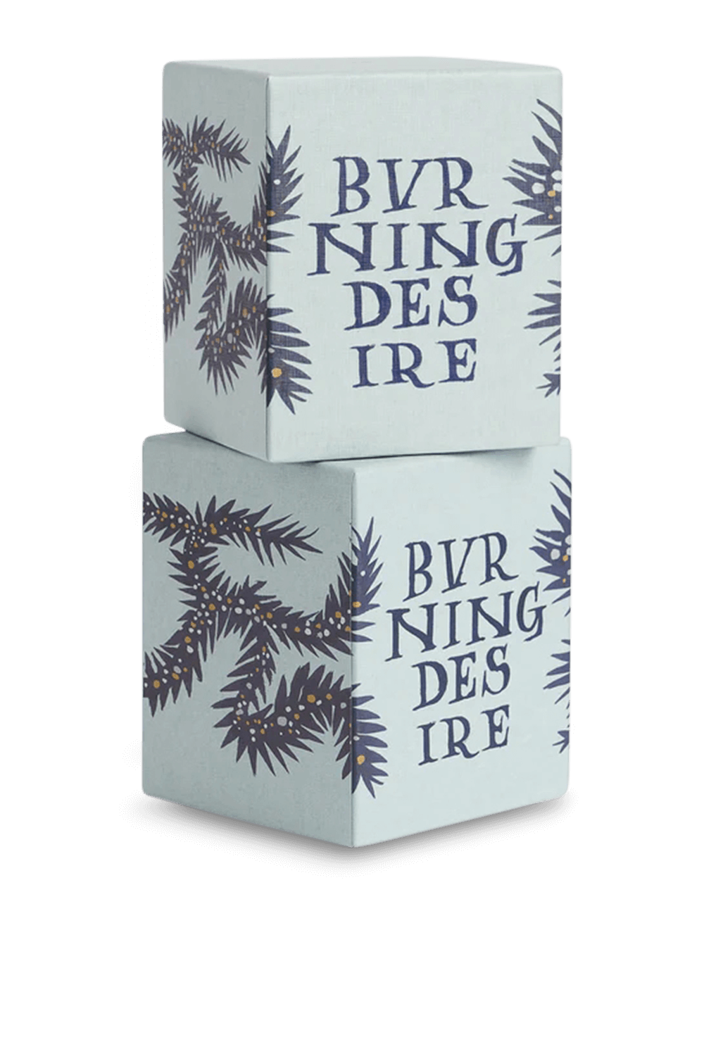 תמונת פנים של Ruan Hoffmann Candle Burning Desire