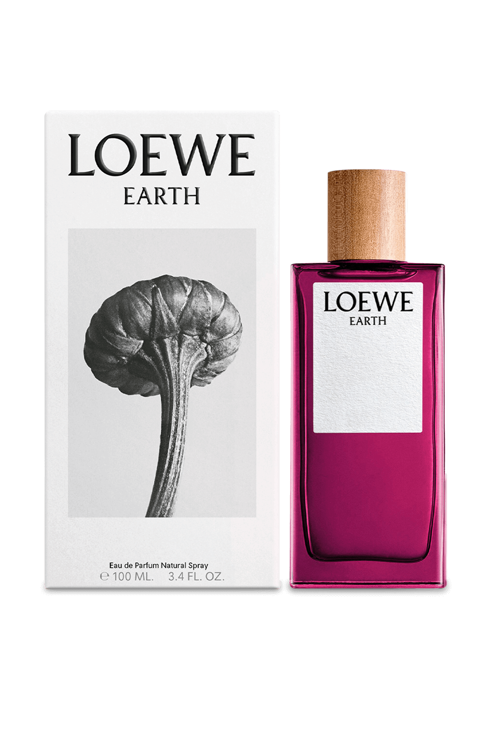 תמונה אחורית של LOEWE Earth Eau de Parfum 100 ml