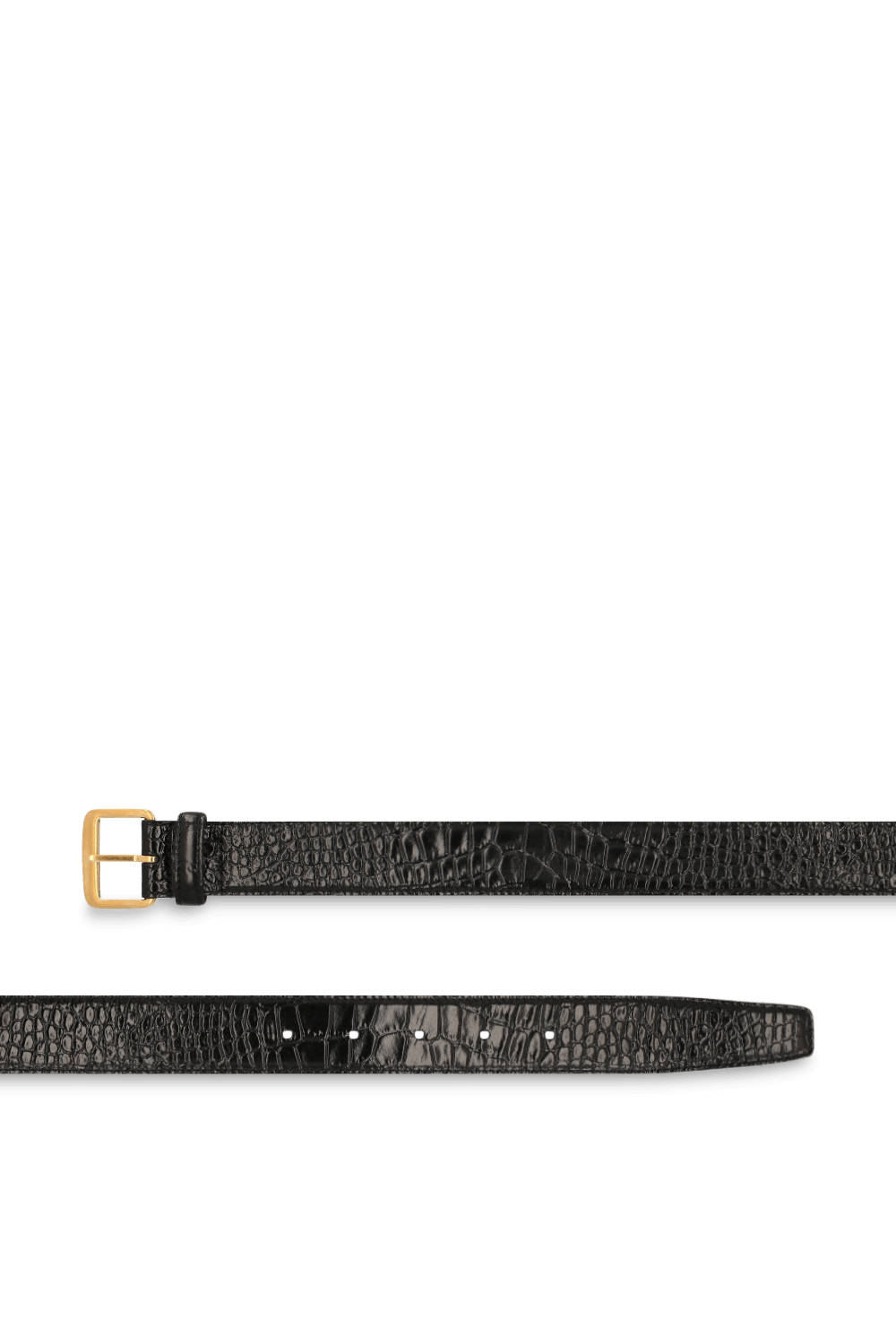 תמונה אחורית של חגורה