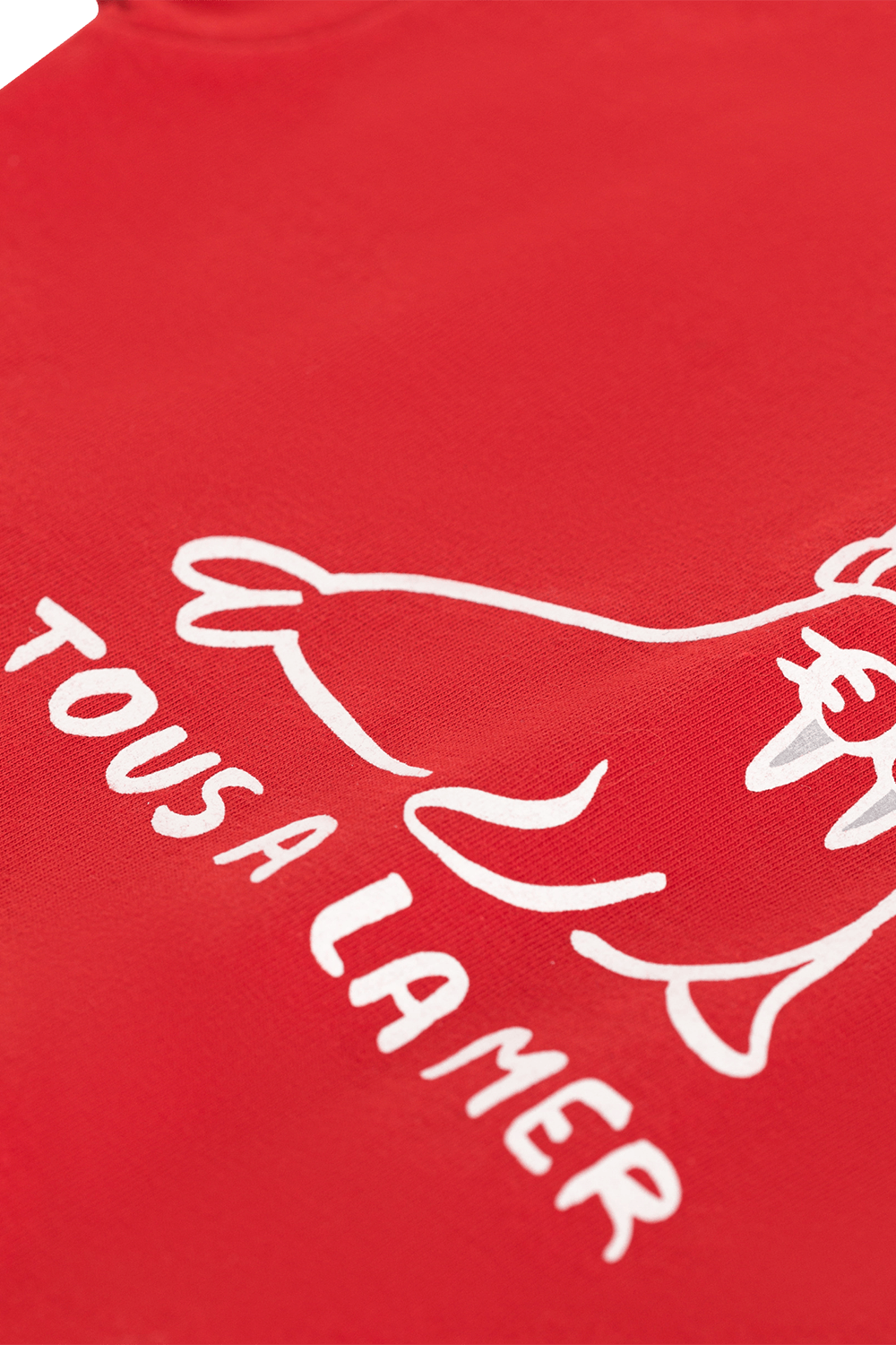 תמונת תקריב של חולצת טי - גילאי 3-12 חודשים