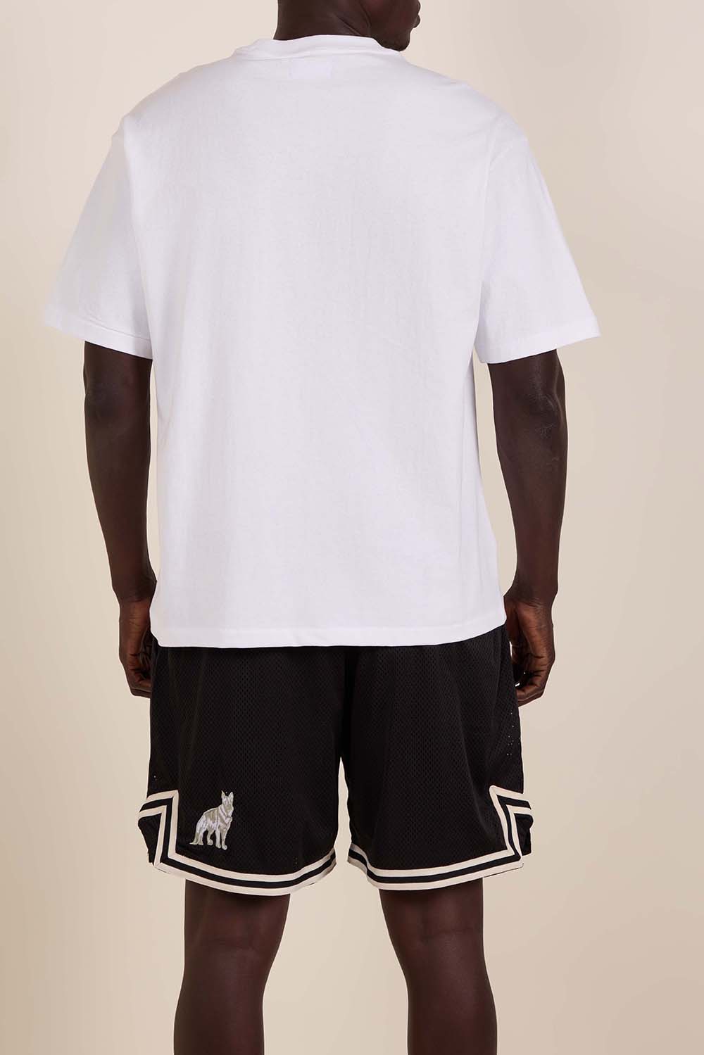 תמונת תקריב דוגמן של חולצת טי