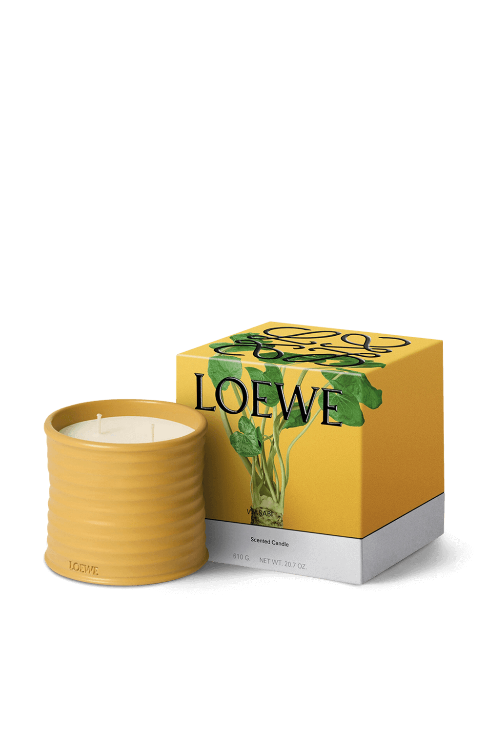 תמונה אחורית של LOEWE Wasabi Medium Scented Candle