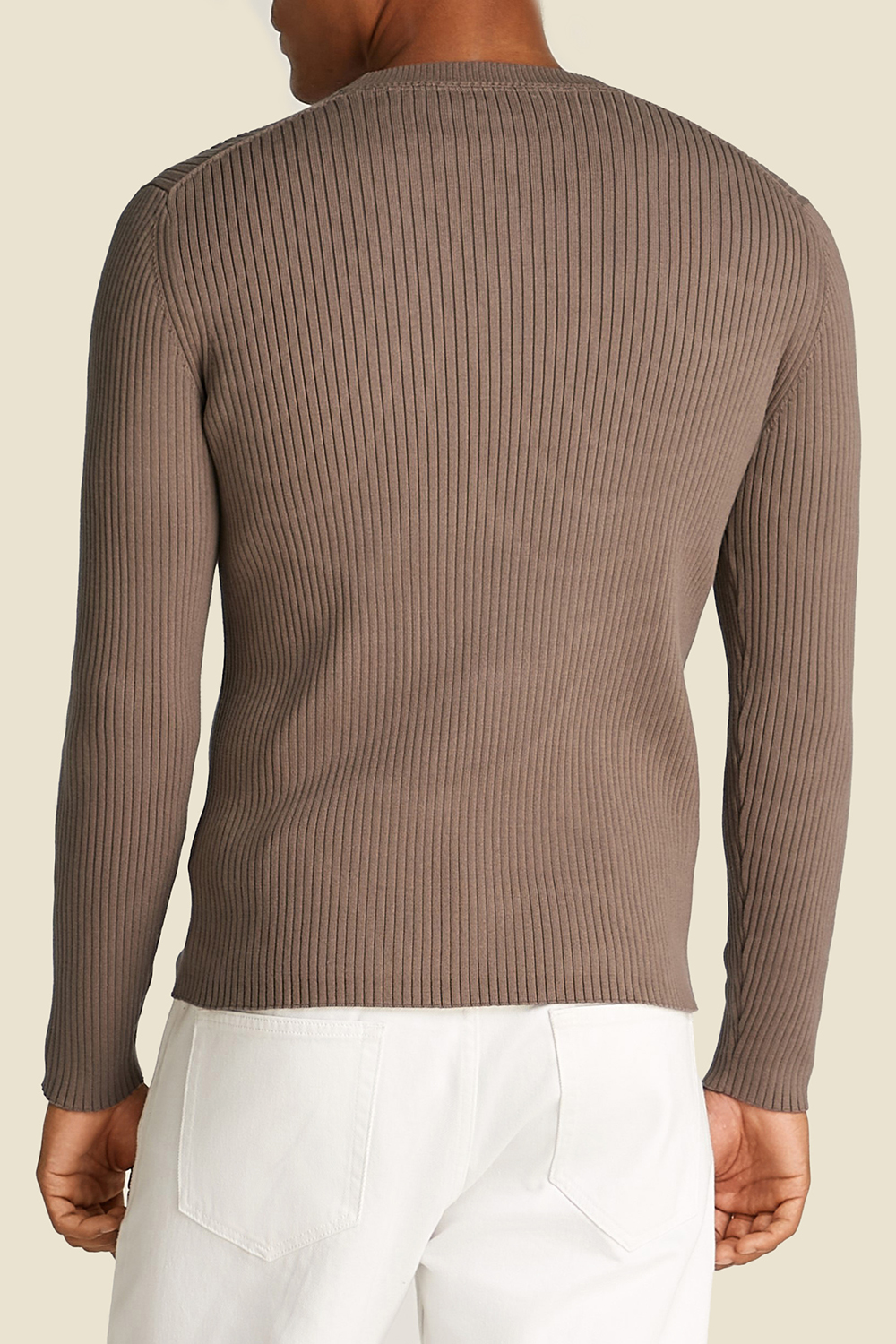 תמונת דוגמן אחורית של סריג ריב