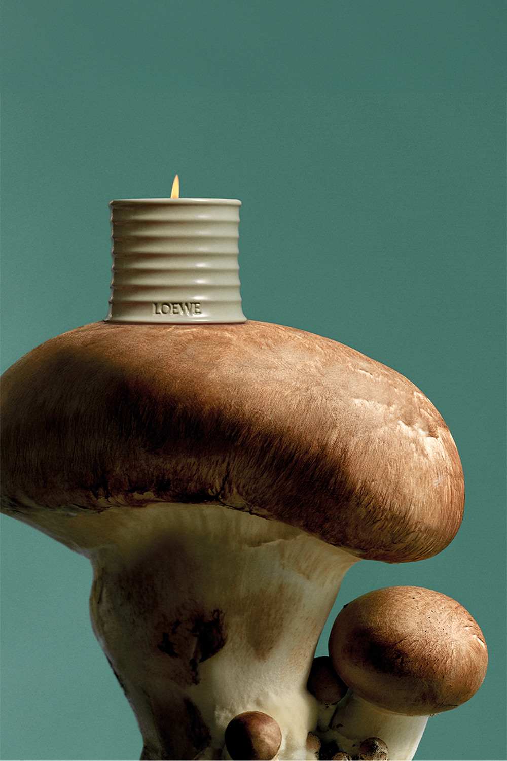 תמונת תקריב של Mushroom Home Fragrance 150 ml