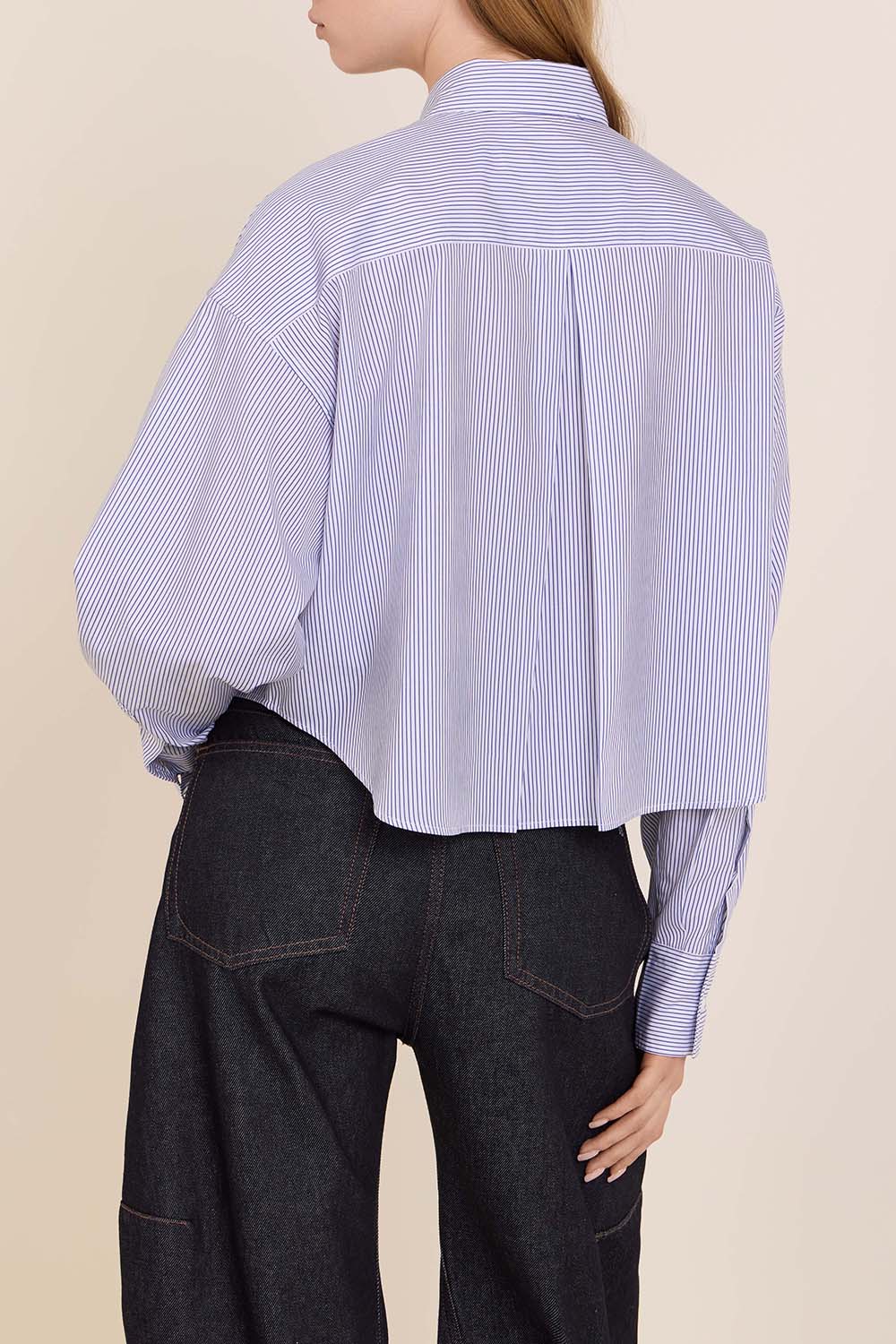 תמונת דוגמן אחורית של חולצת כפתורים קרופ