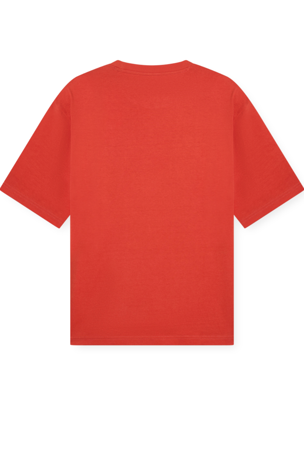 תמונה אחורית של חולצת טי