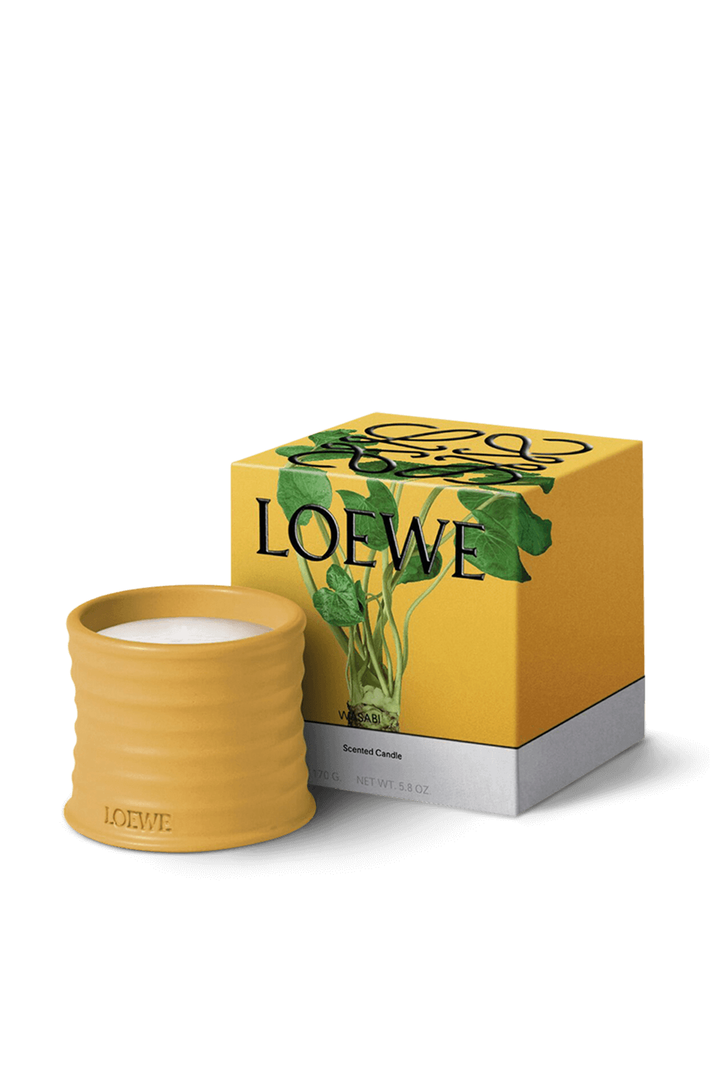 תמונה אחורית של LOEWE Wasabi Small Scented Candle