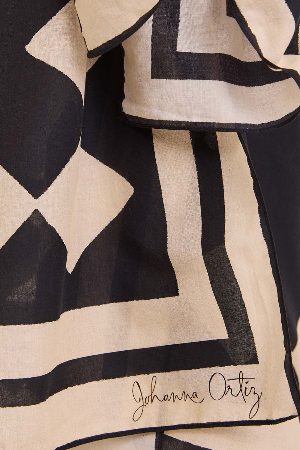 תמונת תקריב דוגמן של פראו