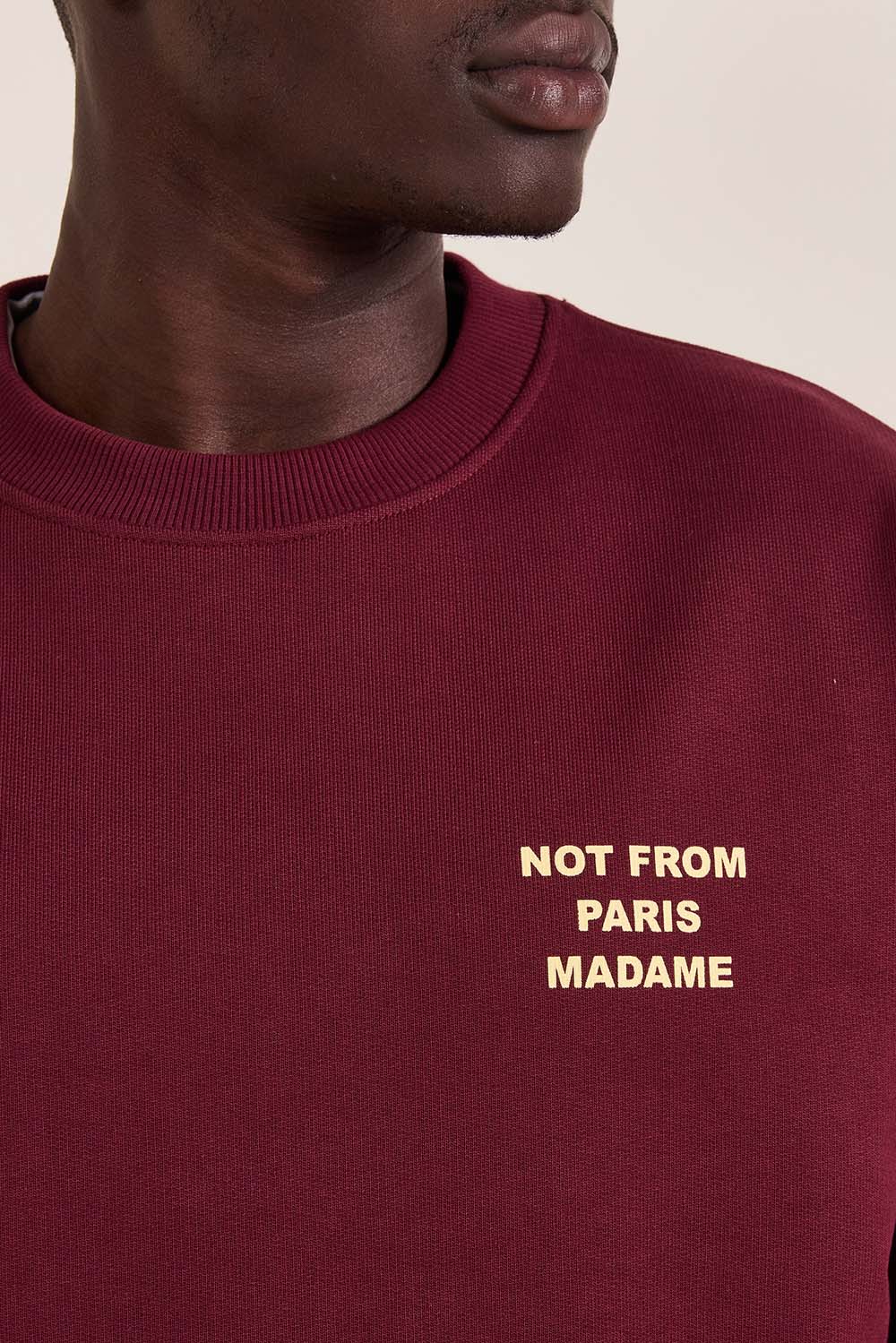 תמונת דוגמן אחורית של סווטשירט