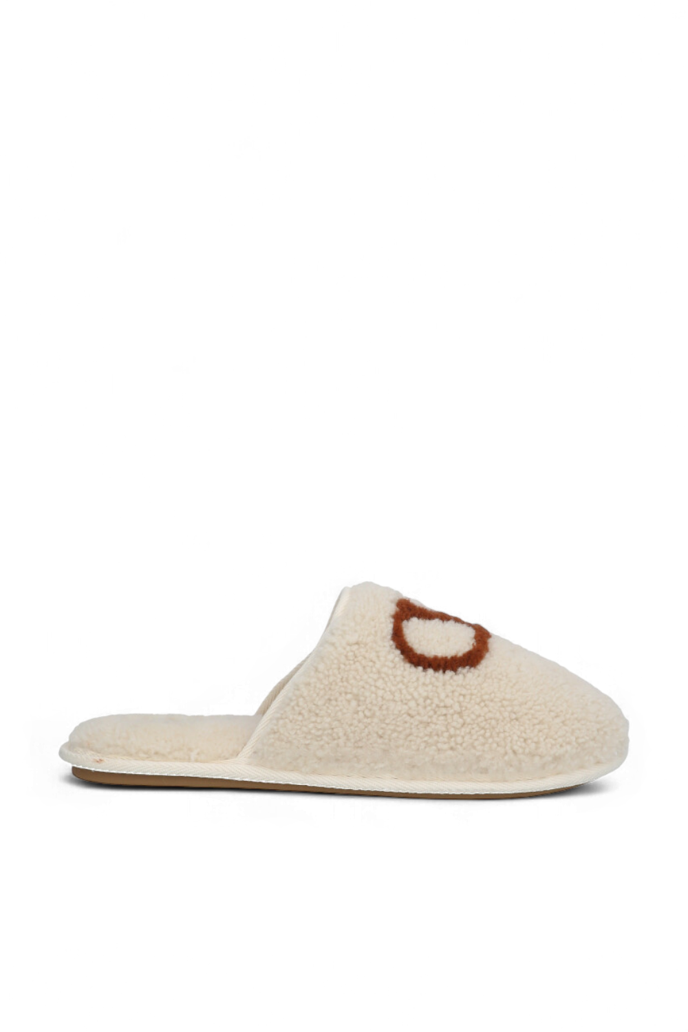 תמונה קידמית של נעלי בית