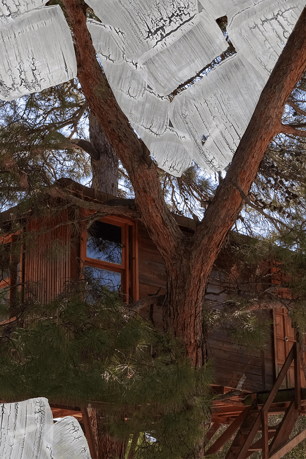 Tree House Candle 240 gr