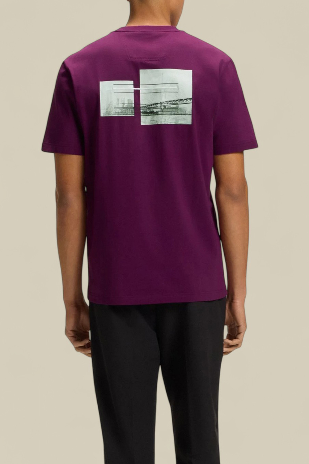 תמונת דוגמן אחורית של חולצת טי