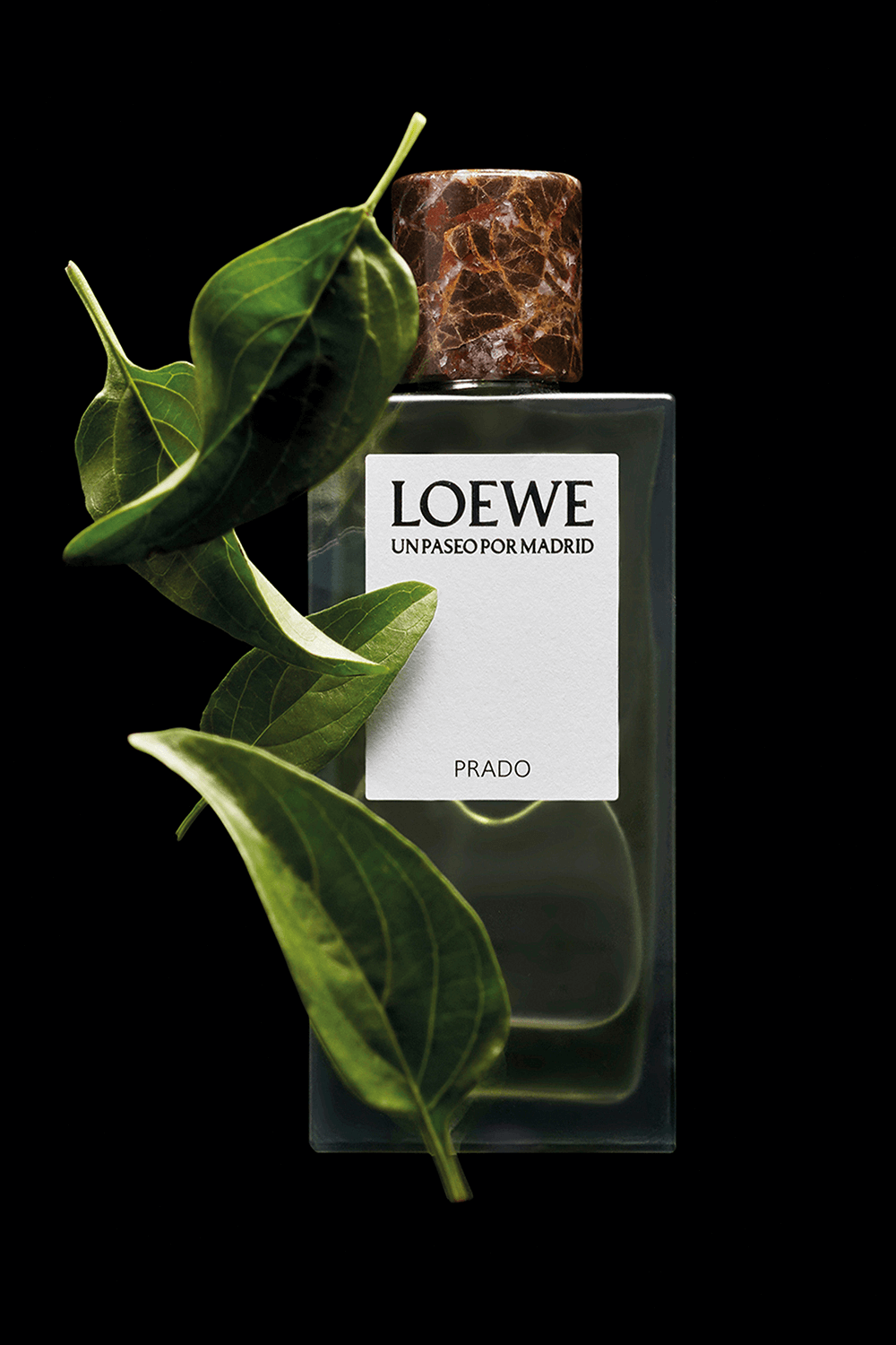 תמונת פנים של LOEWE UPPM Prado Eau de Parfum 100 ml