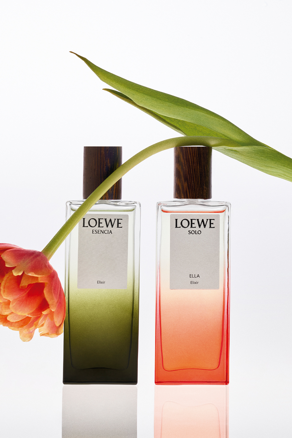 LOEWE Solo Ella Elixir Eau de Parfum 100 ml