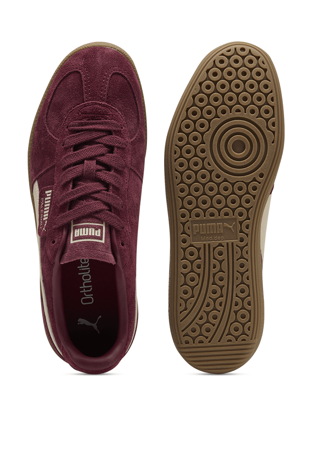 תמונת פנים של נעלי סניקרס פאלרמו