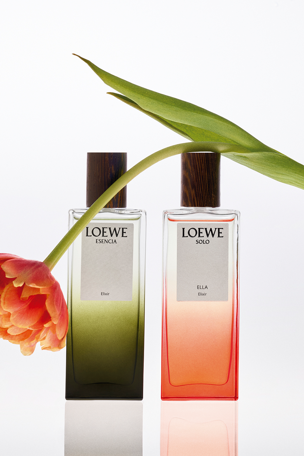 LOEWE Esencia Elixir Eau de Parfum 100 ml