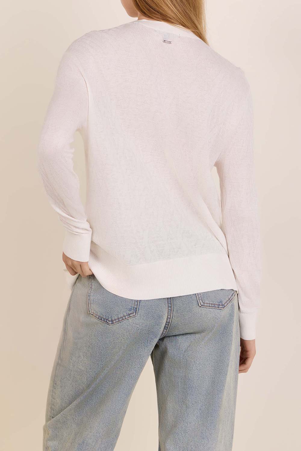 תמונת דוגמן אחורית של סריג ויסקוזה