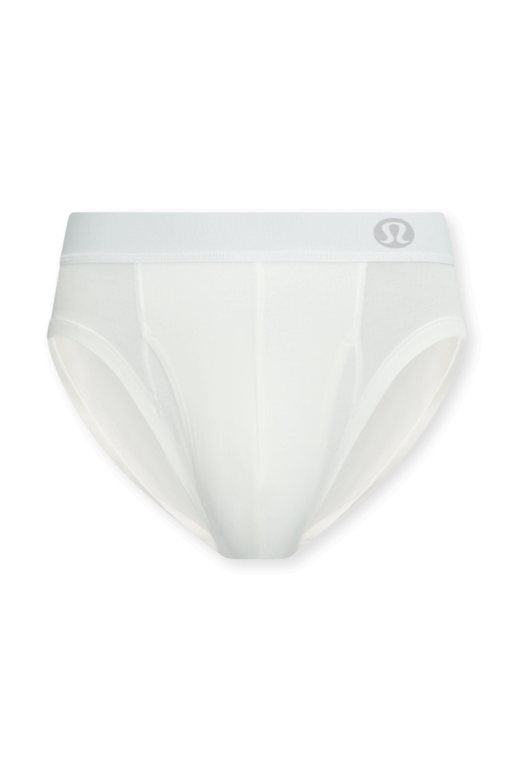 תמונה קידמית של AIM Brief with Fly