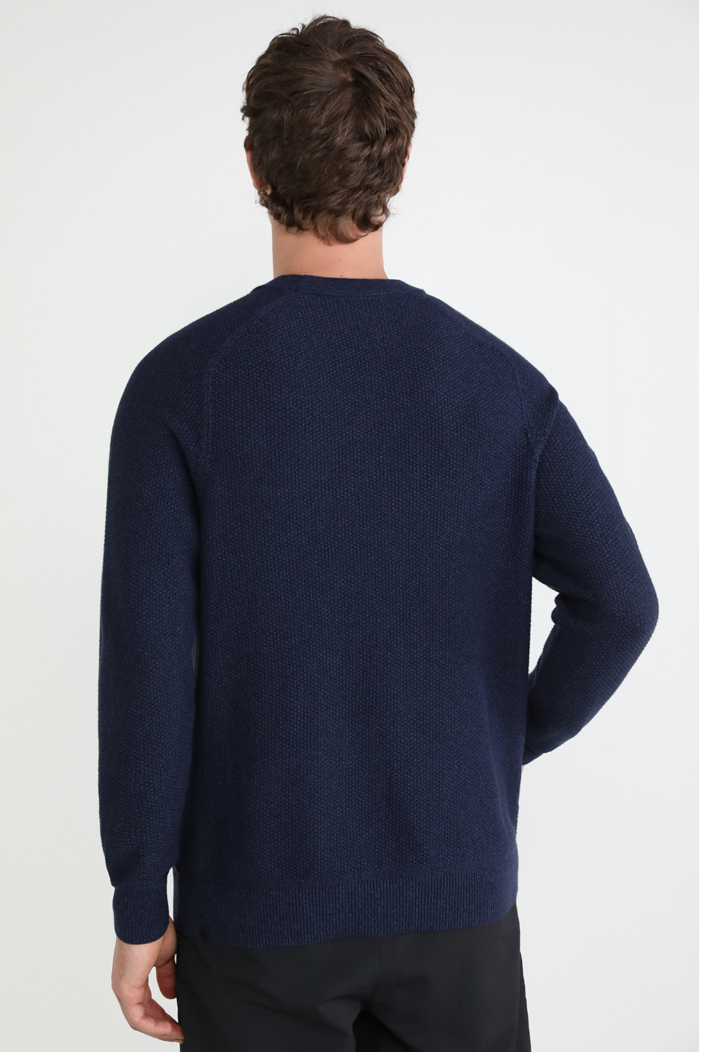 תמונת דוגמן אחורית של Textured Knit Crewneck Sweater