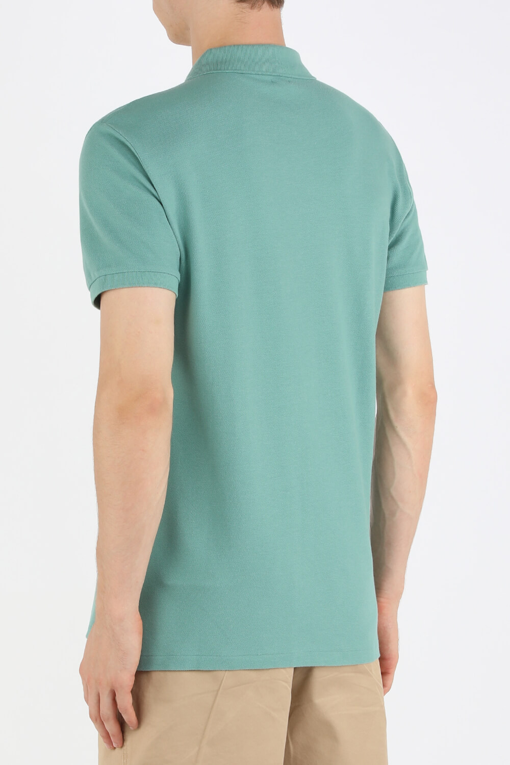 תמונת דוגמן אחורית של Knit Sleeve Cotton Polo Shirt in Green