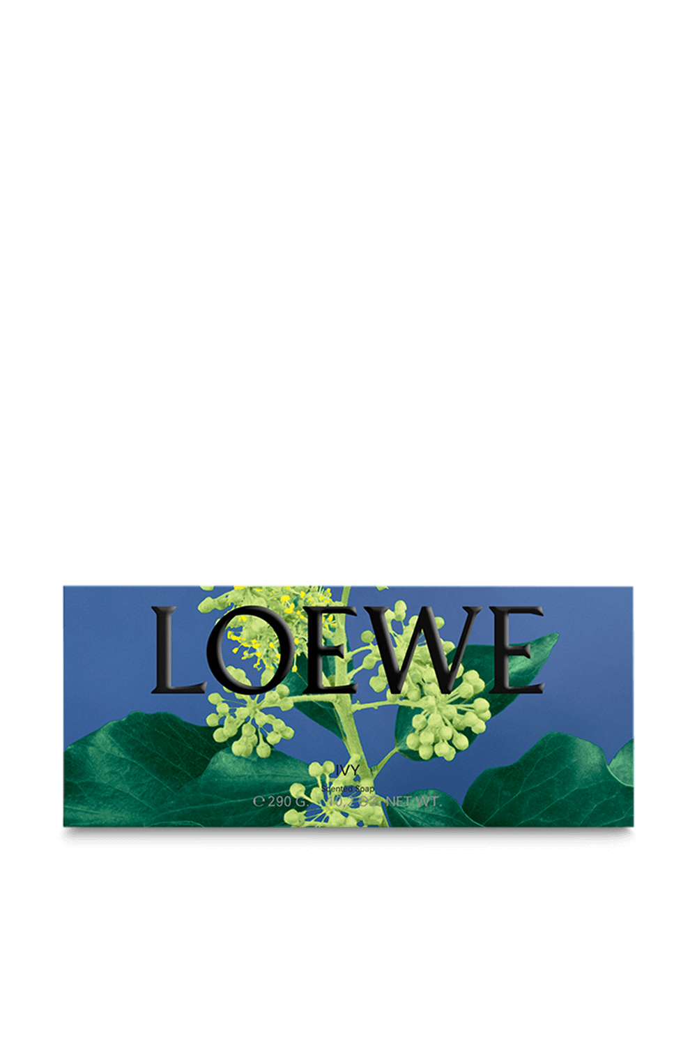 תמונה אחורית של SOLID SOAP IVY