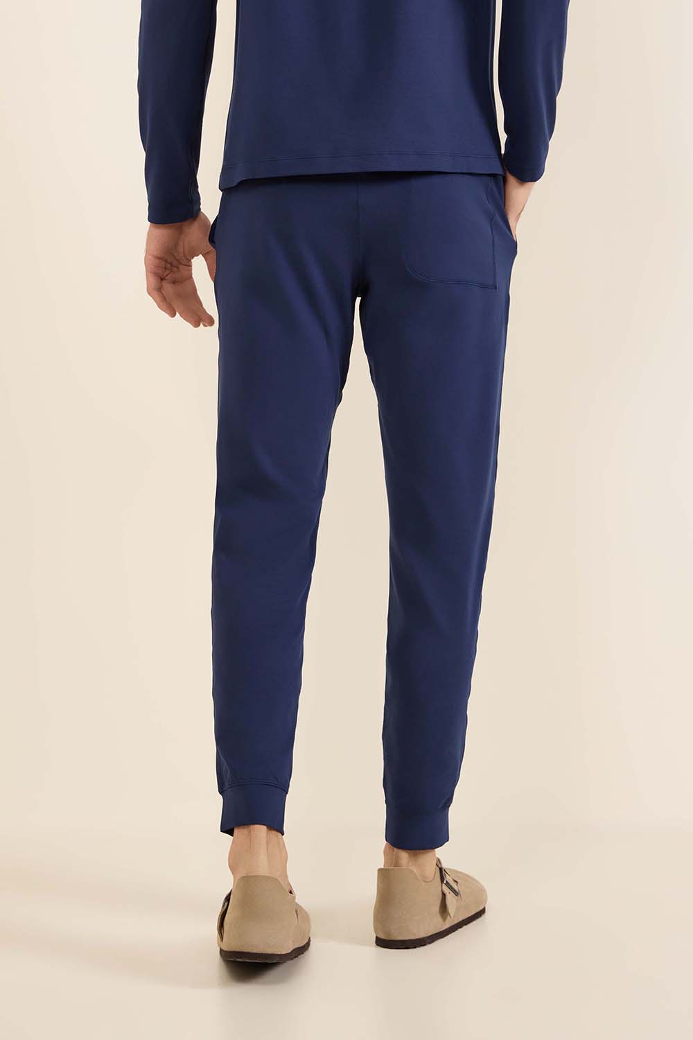 תמונת דוגמן אחורית של Soft Jersey Jogger Pant Regular