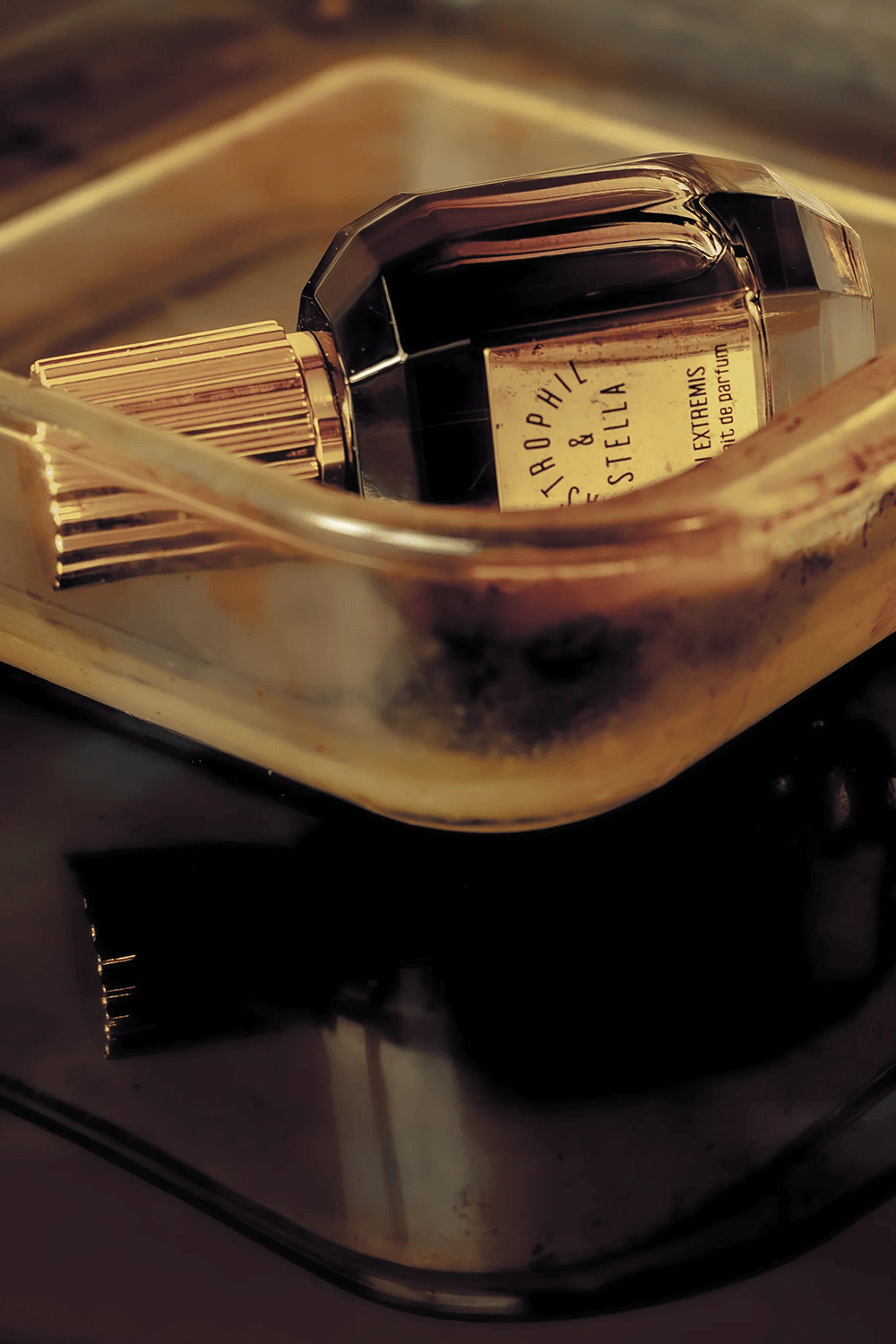 תמונת תקריב של In Extremis Ex. Parfum 50 ml Astrophil X Stella