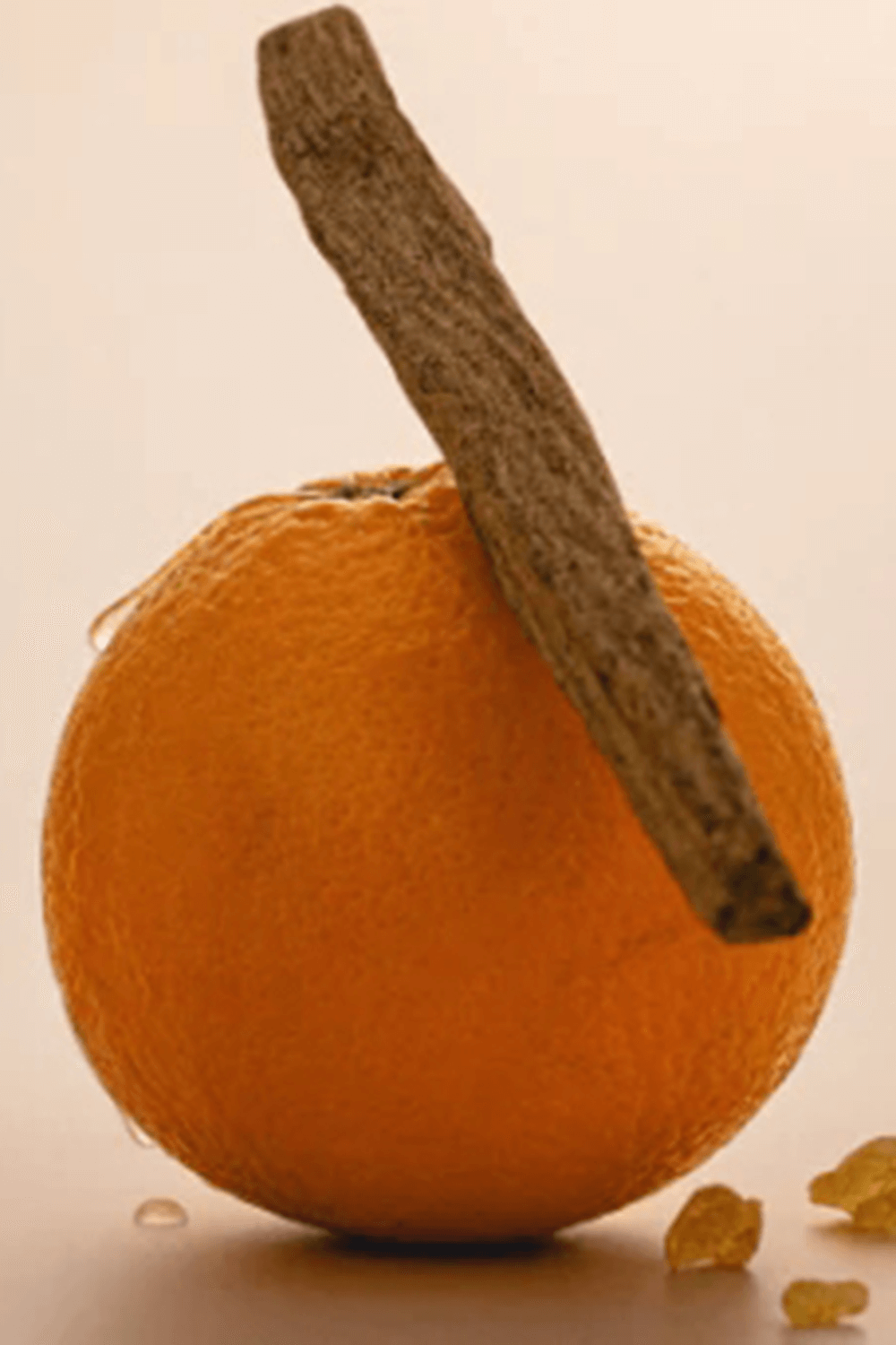 תמונה אחורית של Orange Crush  Extrait De Parfum 50 ML