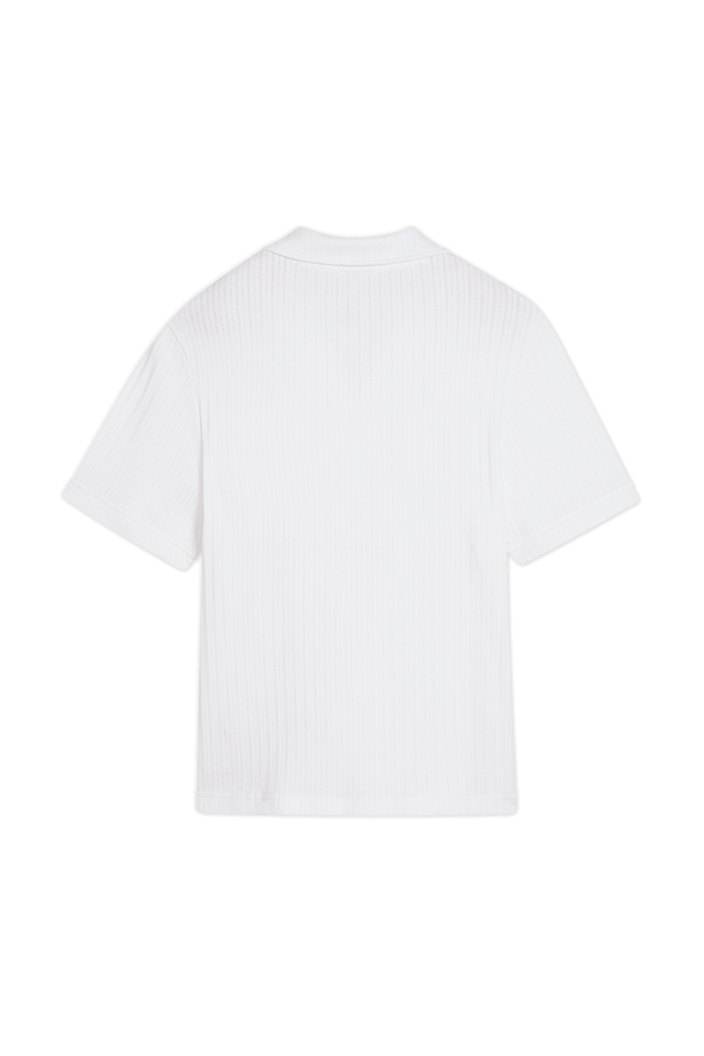 תמונה אחורית של חולצת כפתורים קצרה