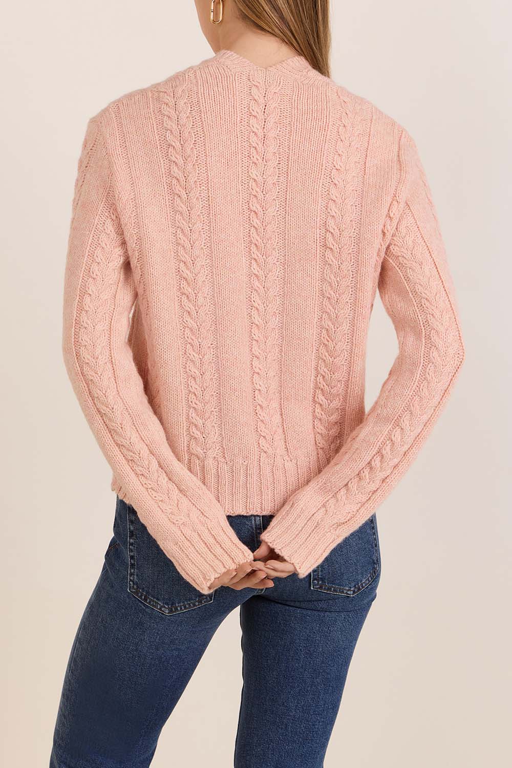 תמונת דוגמן אחורית של סריג צמות