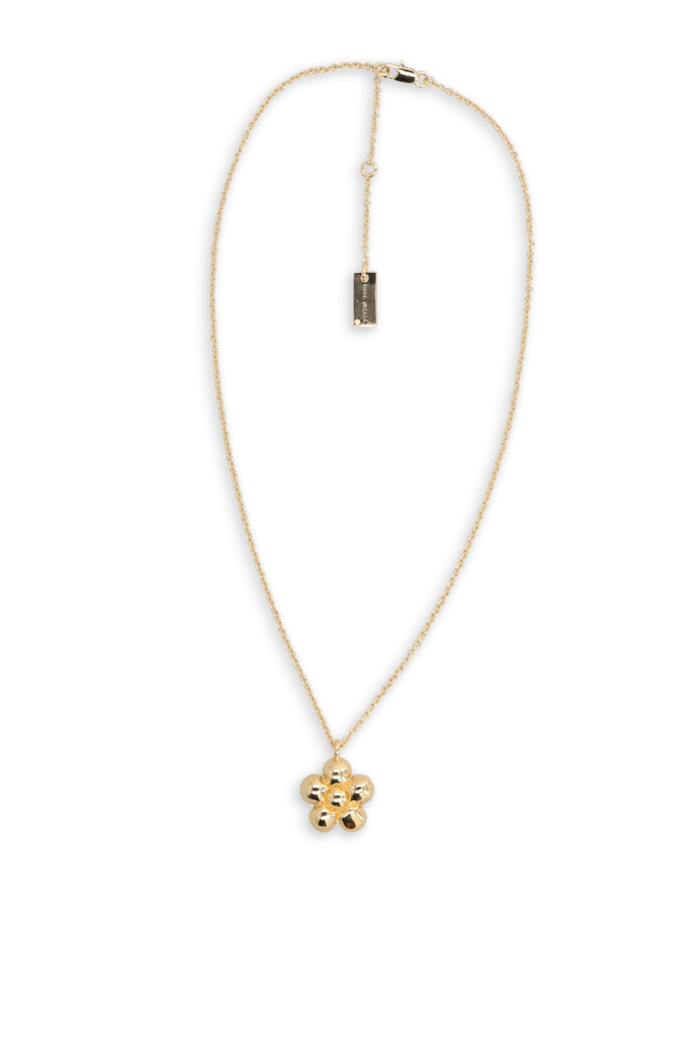 תמונה קידמית של שרשרת תליון דייזי