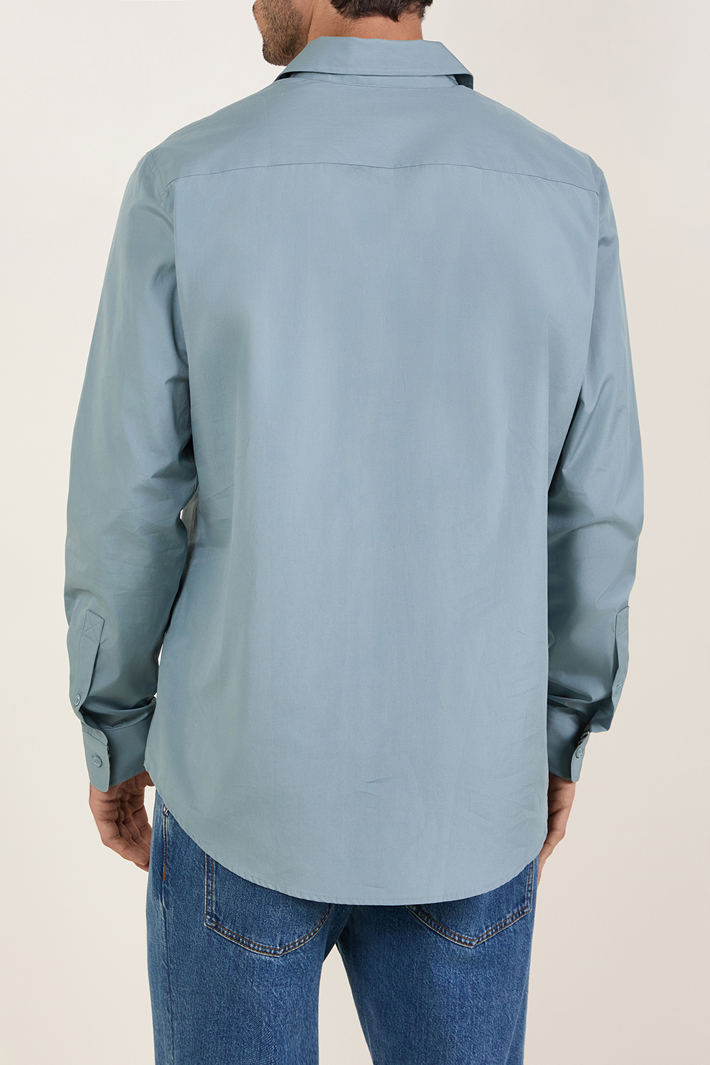 תמונת דוגמן אחורית של חולצת כפתורים סלים פיט