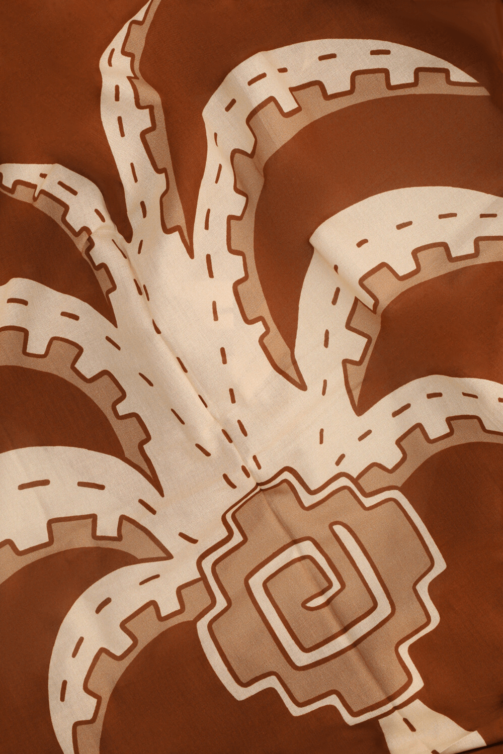 תמונה אחורית של פראו דקלים