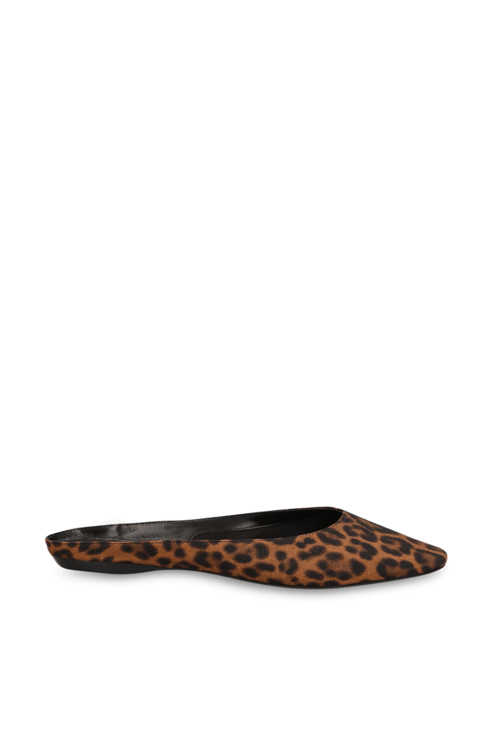 תמונה קידמית של נעלי מיולס