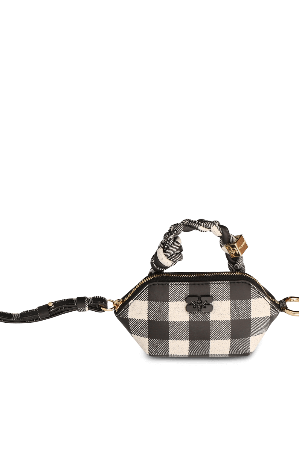 תמונת תקריב של תיק נאנו בו