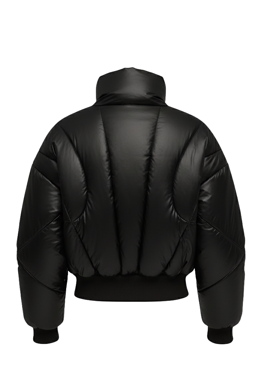 תמונה אחורית של מעיל פוך