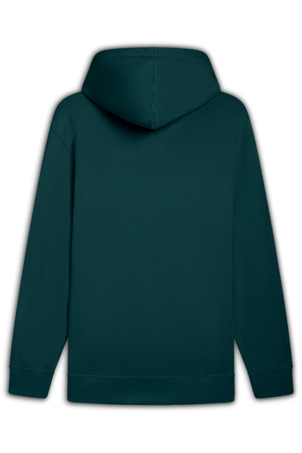 תמונה אחורית של קפוצ'ון