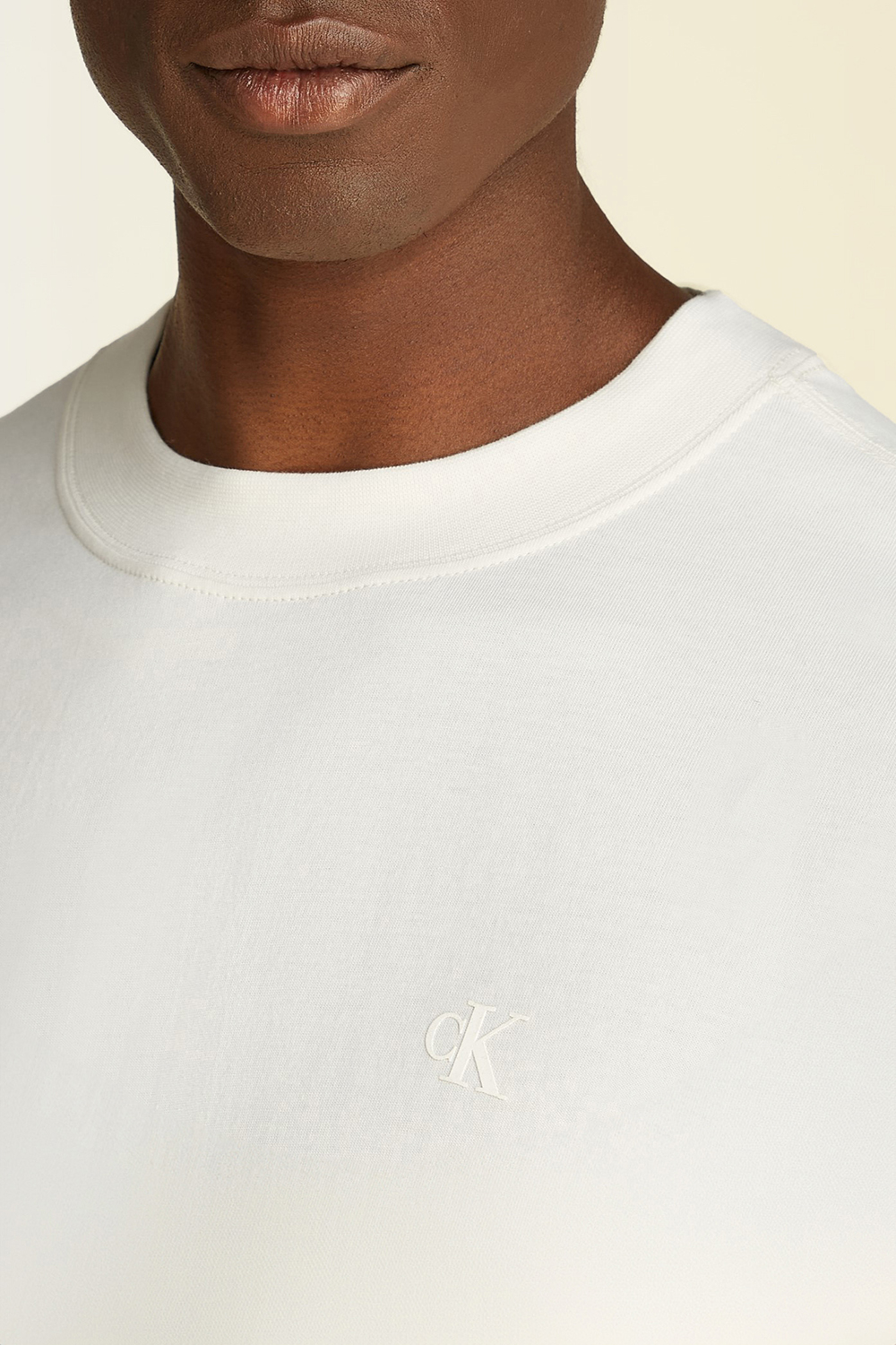 תמונת תקריב דוגמן של חולצת טי עם הדפס בגב