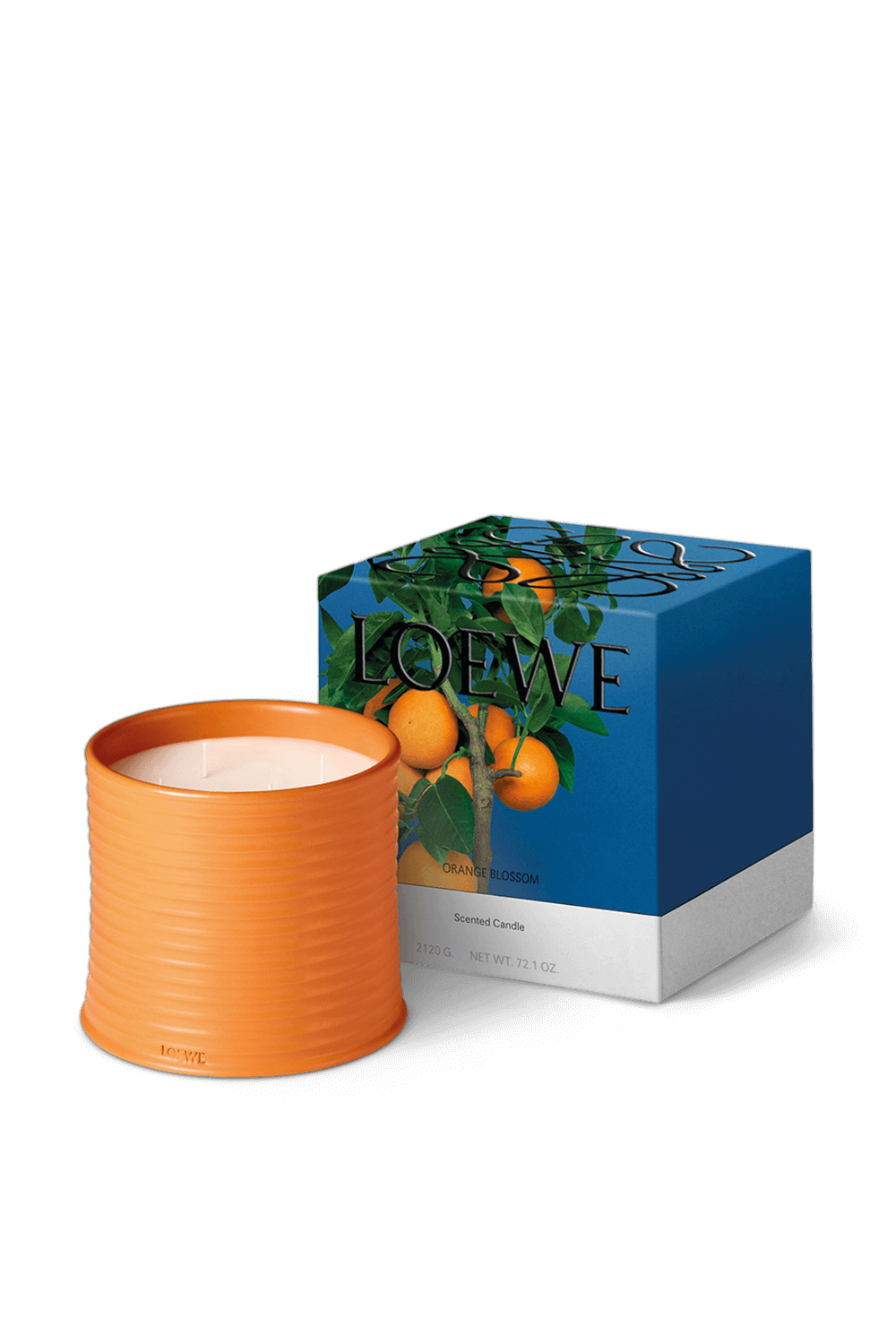 תמונה אחורית של LOEWE Orange Blossom Large Scented Candle