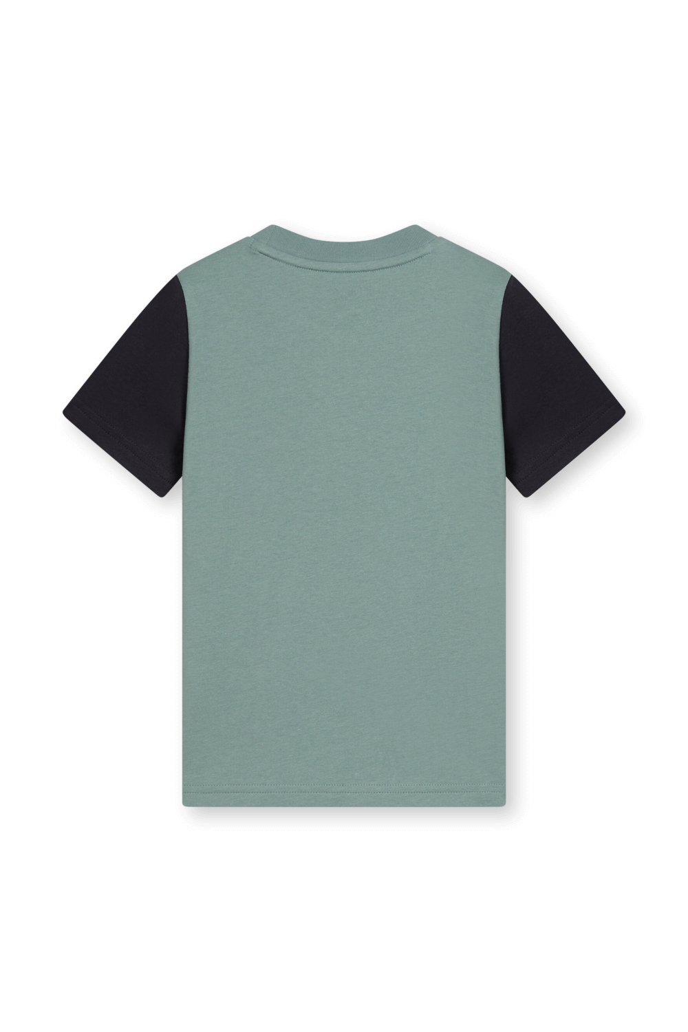 תמונה אחורית של חולצת טי