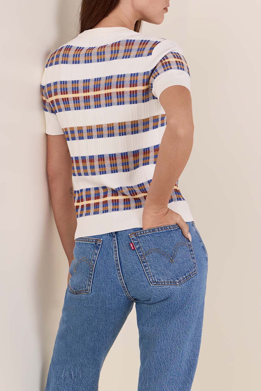 תמונת דוגמן אחורית של סריג ויסקוזה