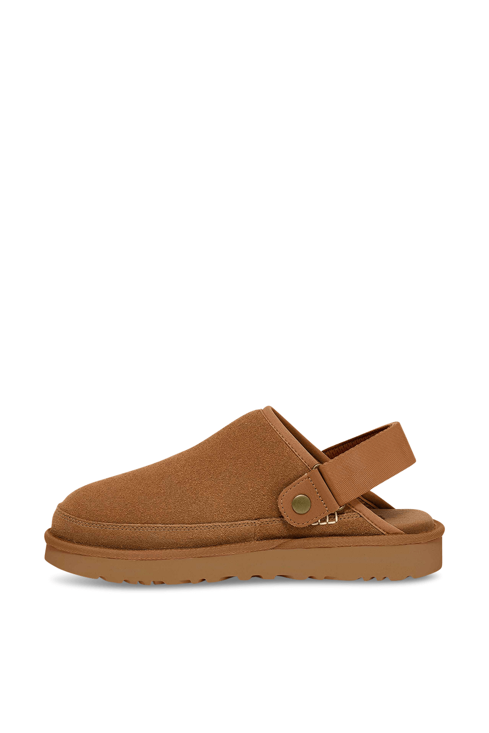 תמונה אחורית של גולדן קוסט קלוג II