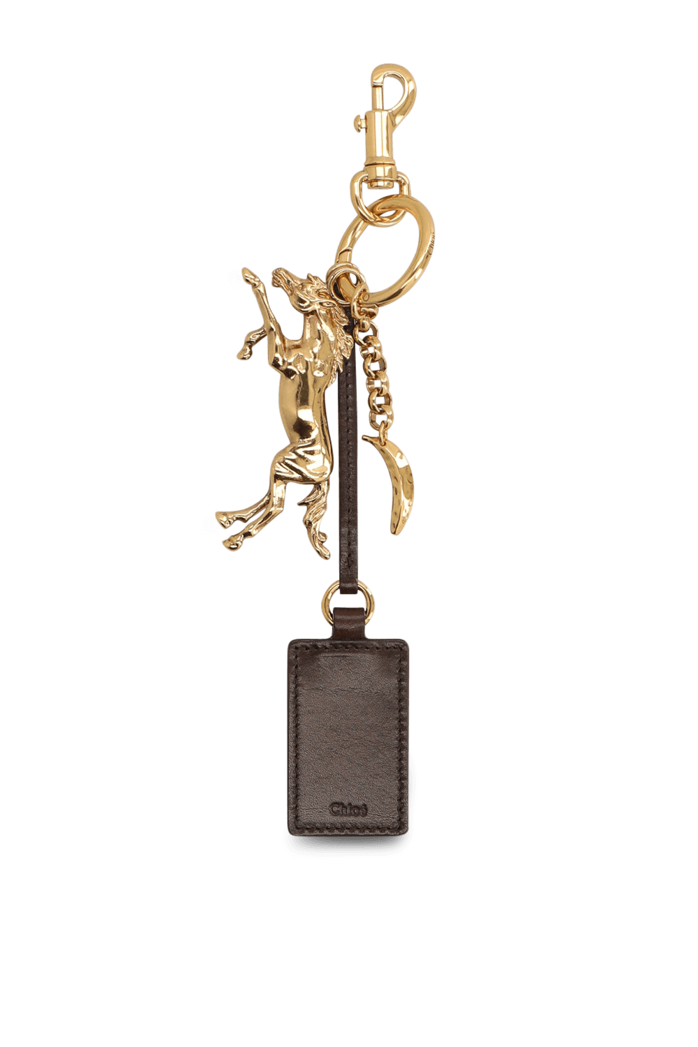 תמונה קידמית של מחזיק מפתחות