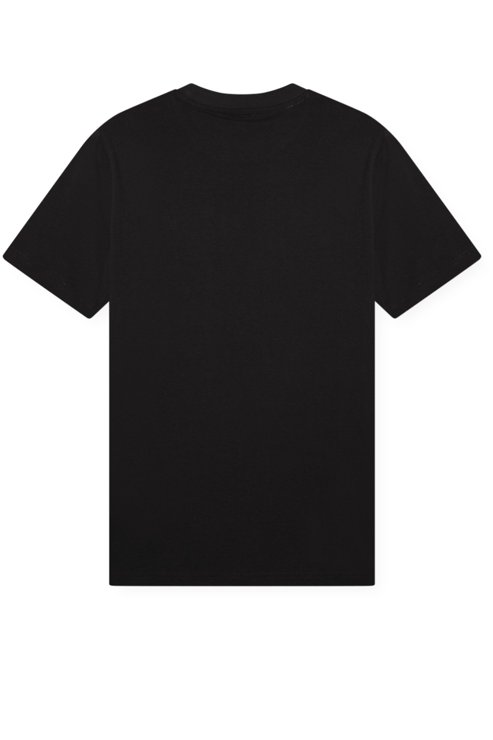 תמונה אחורית של חולצת טי