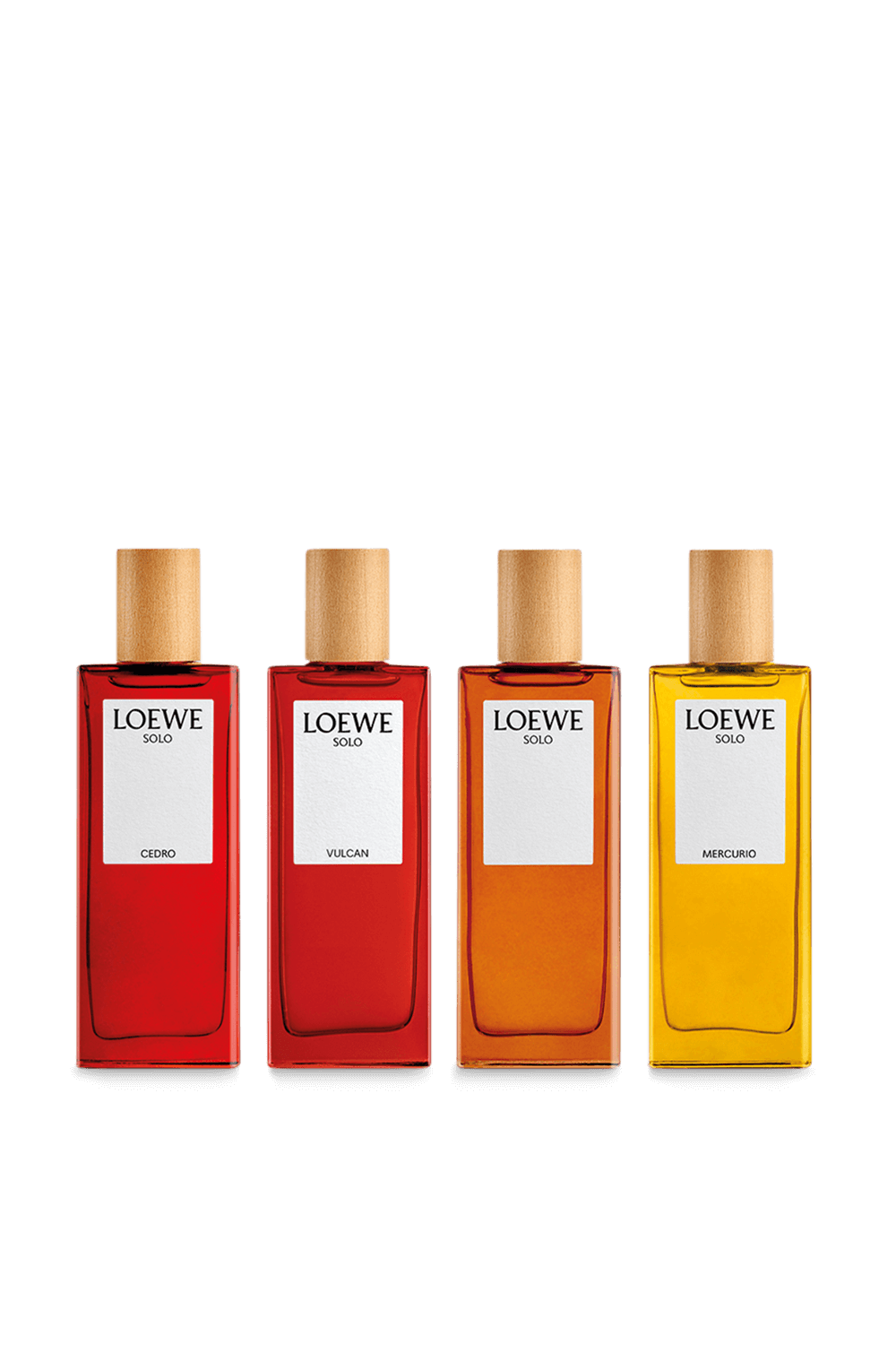 תמונת פנים של LOEWE Solo Vulcan Eau de Parfum 50 ml