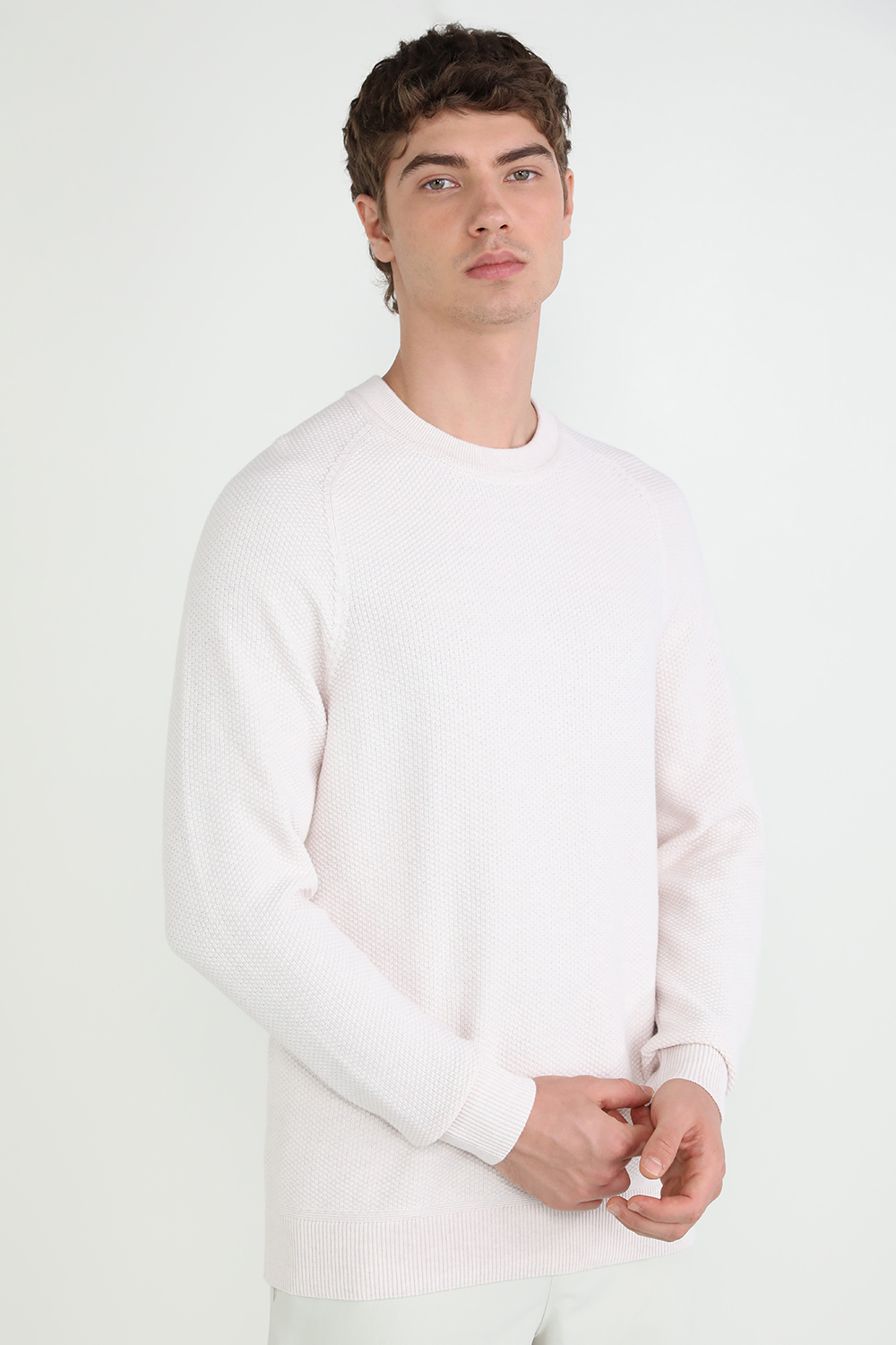 תמונת דוגמן קידמית של Textured Knit Crewneck Sweater